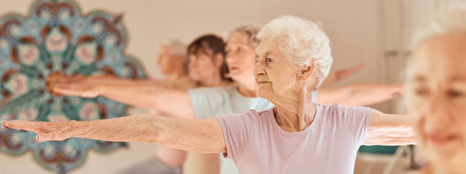 In Home Fitness Training for Senior Citizens in Peoria IL